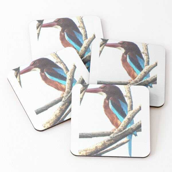 Item preview, Bird Kingfisher designed and sold by Narayans.