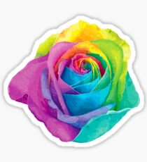 Rainbow rose Sticker