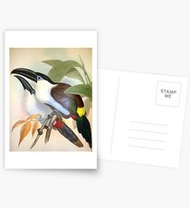 John Gould’s Monograph of the Ramphastidae, or Family of Toucans, published Postcards
