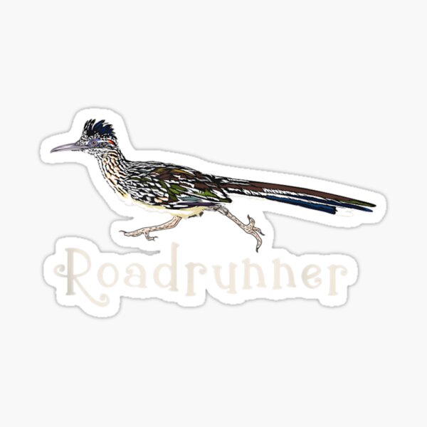 Roadrunner-Cool-Bird-Gift-Design Sticker