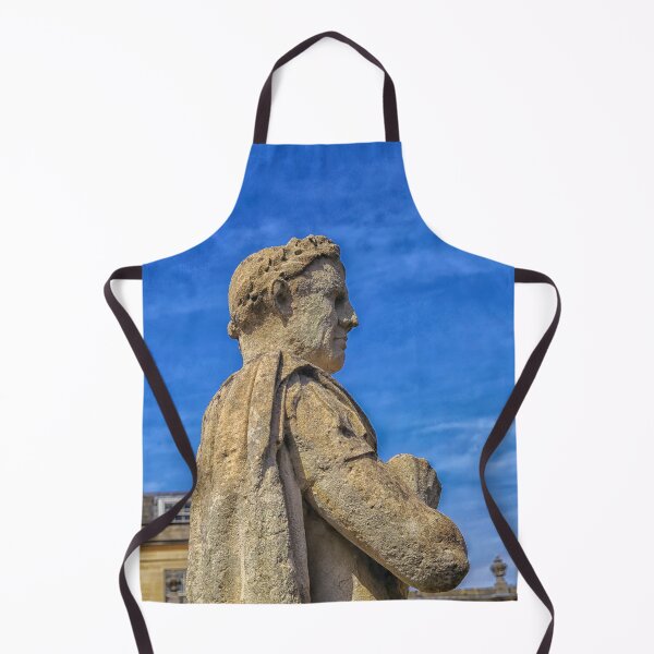 Item preview, Statue of Julius Ceasar at the Roman Baths designed and sold by Photopat.