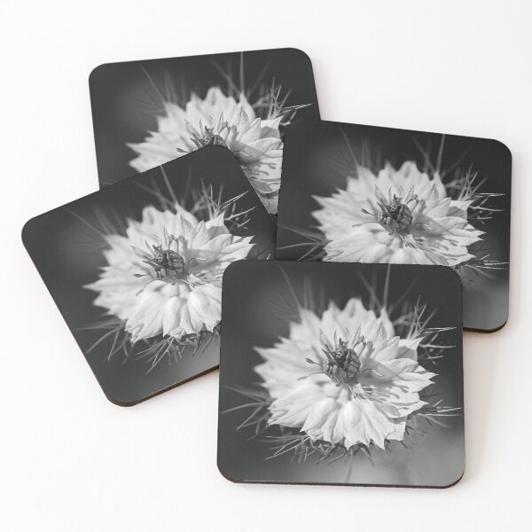 Item preview, Love In The Mist Flower Nigella designed and sold by Joy Watson - Natural Light Photography .