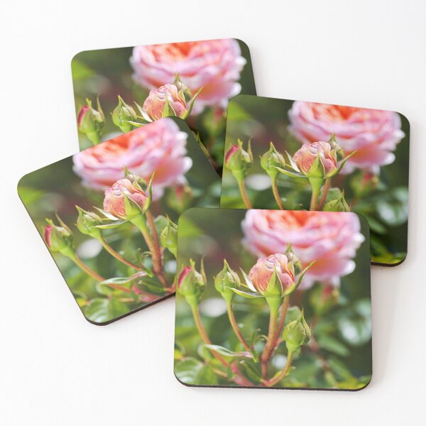 Item preview, Abraham Darby Has Four Rose Buds  designed and sold by Joy Watson - Natural Light Photography .