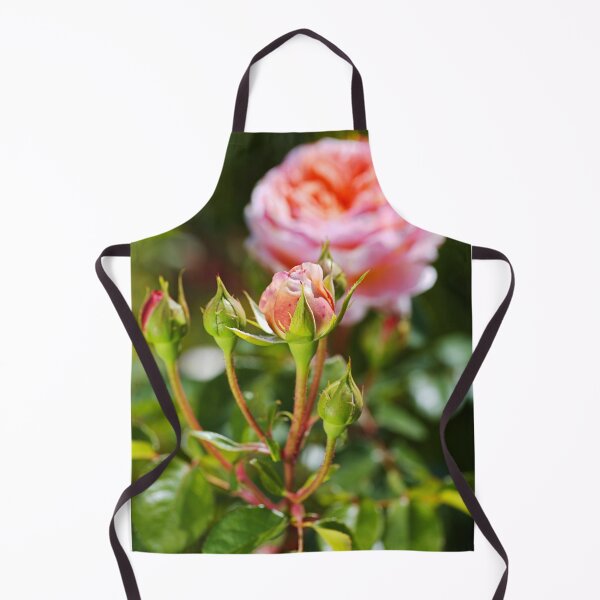 Item preview, Abraham Darby Has Four Rose Buds designed and sold by Joy Watson - Natural Light Photography .
