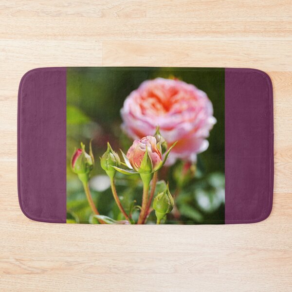 Item preview, Abraham Darby Has Four Rose Buds  designed and sold by Joy Watson - Natural Light Photography .