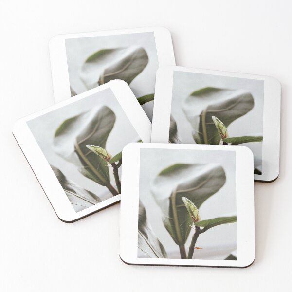 Item preview, Fiddle Fig Leaf designed and sold by Hannah LePage.
