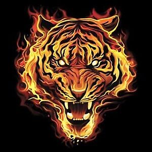 Fire tiger матричный проект