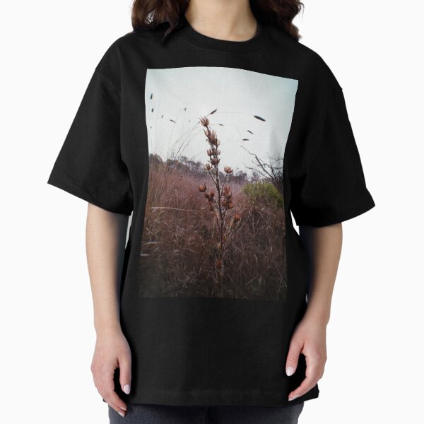 California's Pacific Coast I Oversized T-Shirt