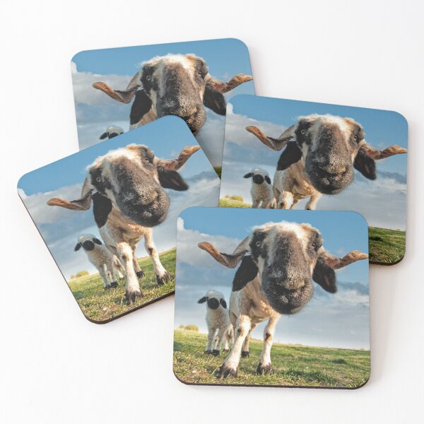 Item preview, Valais black nose designed and sold by Pioooh.