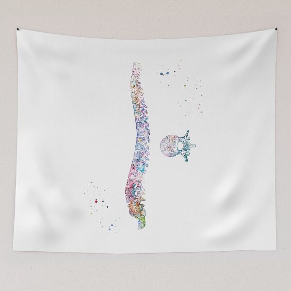 Item preview, Spine and Vertebra Anatomy designed and sold by EvasDreams.