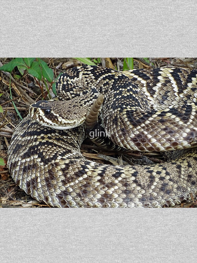 "Eastern Diamond Back Rattlesnake" Tshirt by glink Redbubble