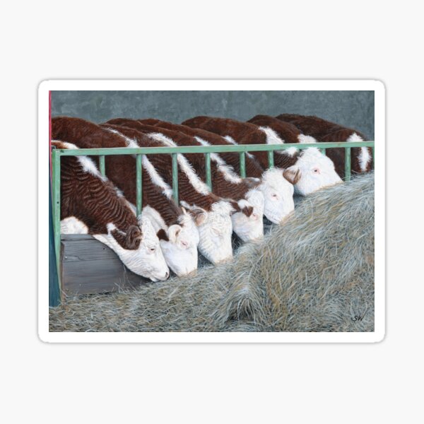 Item preview, Hereford Cattle designed and sold by SandraWarmerdam.