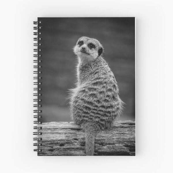 Item preview, Meerkat designed and sold by etorviphoto.