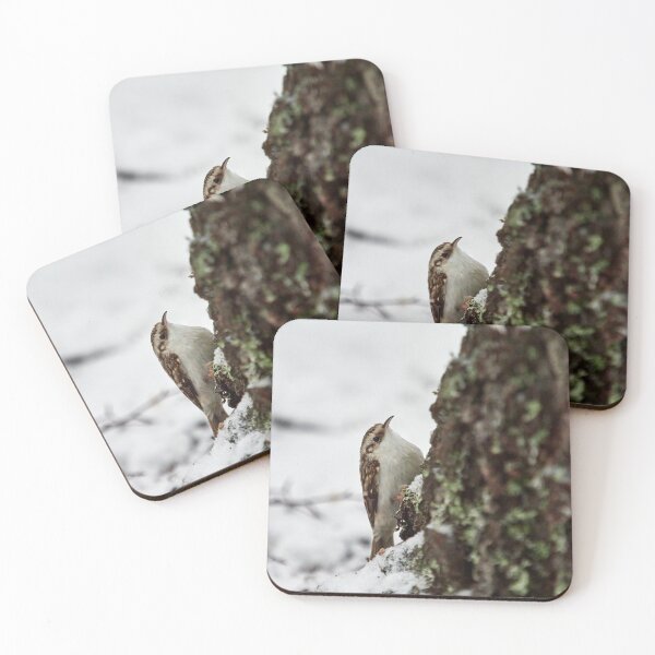 Item preview, Eurasian treecreeper and the first snow designed and sold by Jouko Lehto Photography.