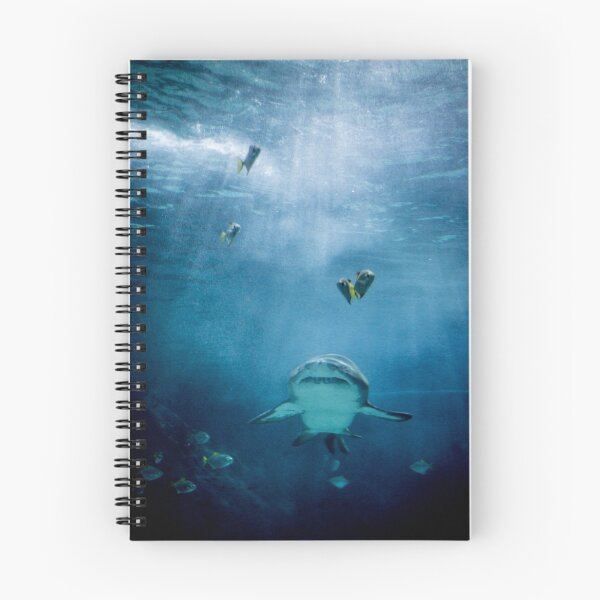 Item preview, Sand Tiger Shark designed and sold by etorviphoto.