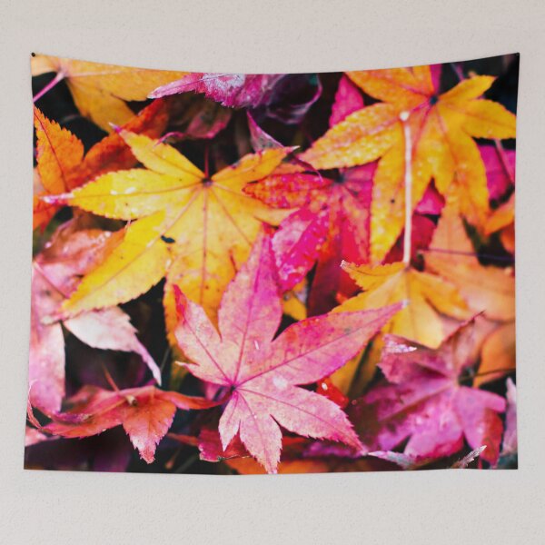 Item preview, Photography - Petrichor designed and sold by Karolien Kenis.