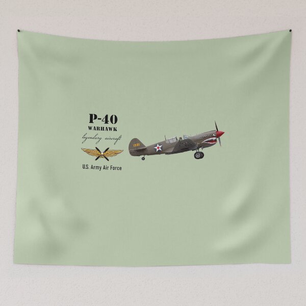 Item preview, P-40 Warhawk designed and sold by sibosssr.
