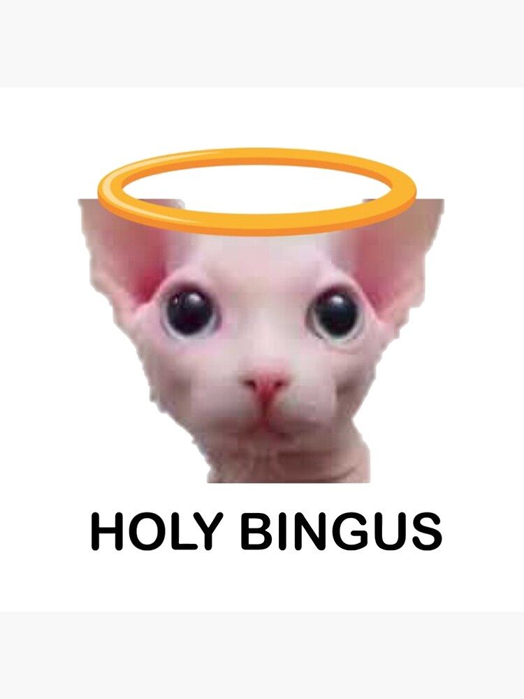 "Bingus cat high quality " Poster for Sale by mgtrip Redbubble