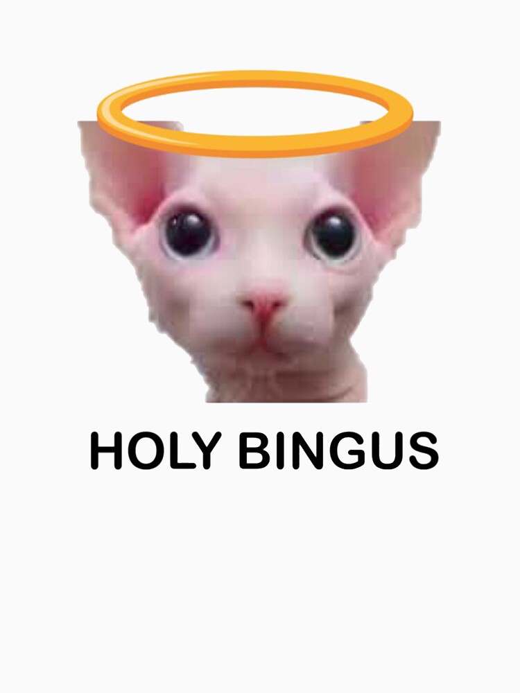 Bingus cat high quality Pullover Hoodie