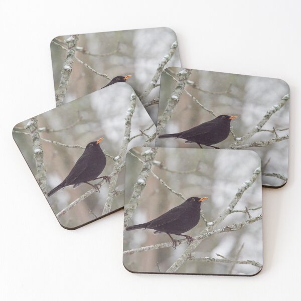 Item preview, Eurasian blackbird waiting for the spring to come designed and sold by Jouko Lehto Photography.