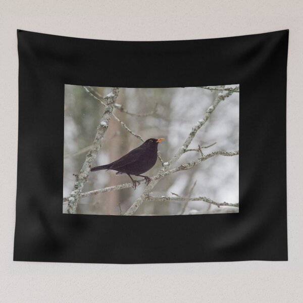 Item preview, Eurasian blackbird waiting for the spring to come designed and sold by Jouko Lehto Photography.