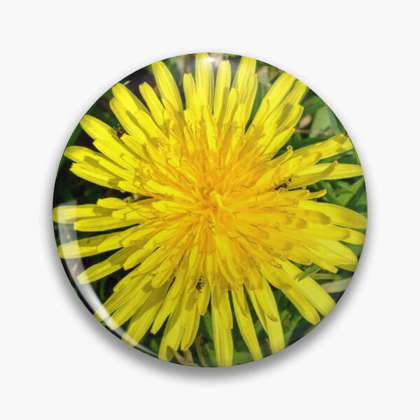 Item preview, Dandelion designed and sold by Lawrence Woolston.