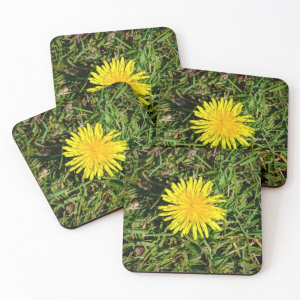 Item preview, Dandelion designed and sold by Lawrence Woolston.