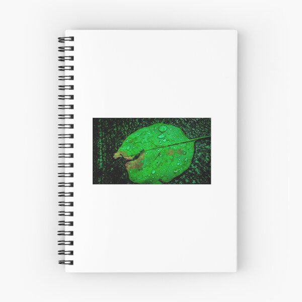 Item preview, Envy Leaf  designed and sold by MadlovPhoto.