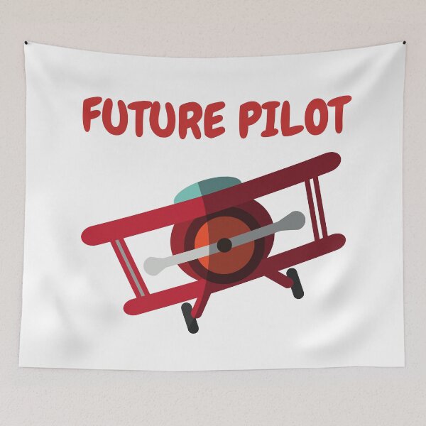 Item preview, Future Pilot designed and sold by AeroAstro.
