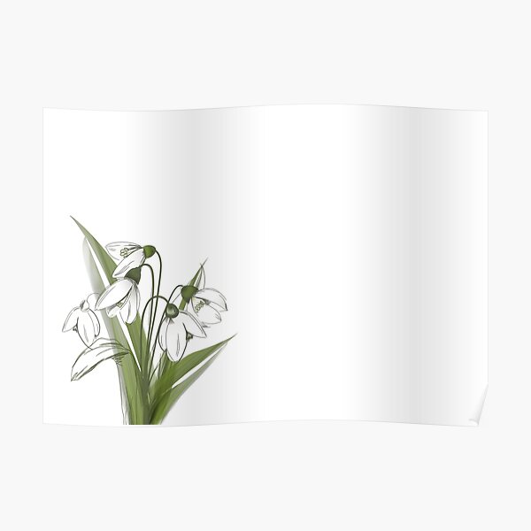 Snowdrop- Winter flower Poster