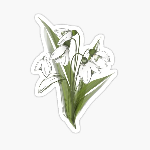 Free Clipart Of A snowbell flower