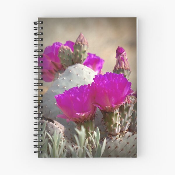 Item preview, Cactus Flowers designed and sold by Barbara Brander.