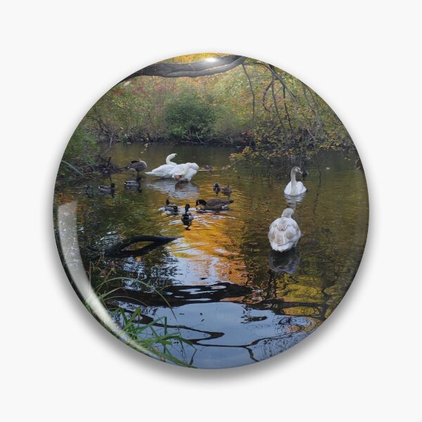 Item preview, Swans and Geese in the Massapequa Preserve designed and sold by RotondoArt.