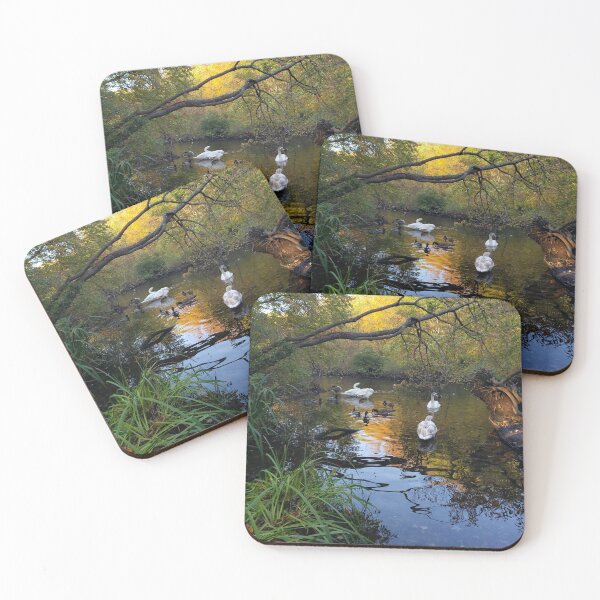 Item preview, Swans and Geese in the Massapequa Preserve designed and sold by RotondoArt.