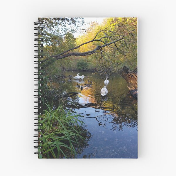 Item preview, Swans and Geese in the Massapequa Preserve designed and sold by RotondoArt.