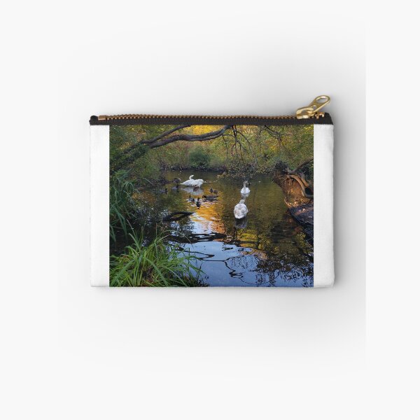 Item preview, Swans and Geese in the Massapequa Preserve designed and sold by RotondoArt.