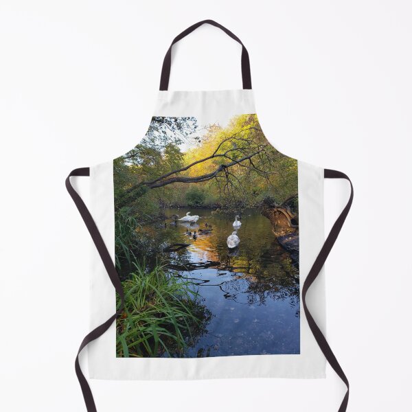 Item preview, Swans and Geese in the Massapequa Preserve designed and sold by RotondoArt.
