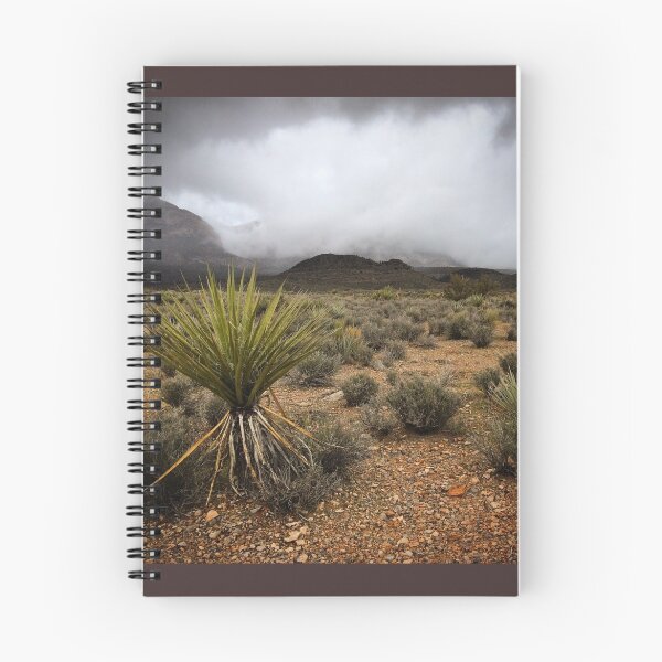 Item preview, Desert Winter designed and sold by Barbara Brander.