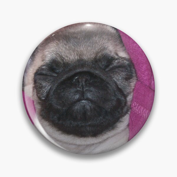 Item preview, Sleeping pug designed and sold by Alan Gregg.