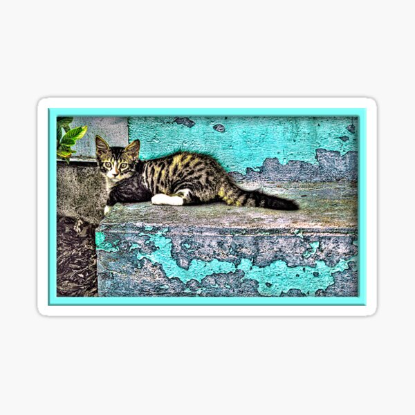Item preview, Kitty On The Front Steps designed and sold by glink.