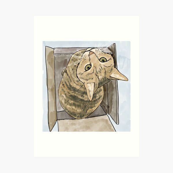 Tabby Cat In A Box (Lucy) Art Print