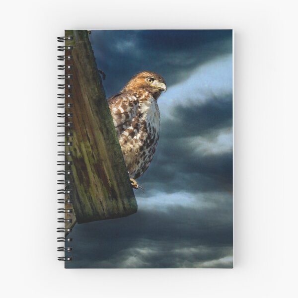 Item preview, Defiance designed and sold by Belinda Greb Photography.