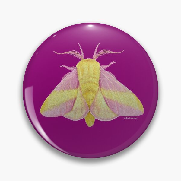 Item preview, Rosy Maple Moth (Dryocampa rubicunda) designed and sold by illustrateamy.