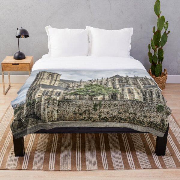 Item preview, Cathedral of Saint Julian of Le Mans (France) designed and sold by Marc Garrido Clotet.