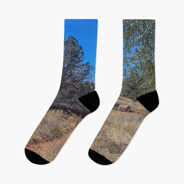 Item preview, Girdner Trail Arizona USA Cultural Park Trailhead twelve designed and sold by tamal778.