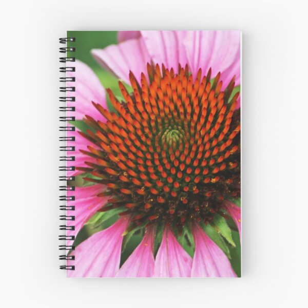 Item preview, Echinacea designed and sold by emilypatersonn.