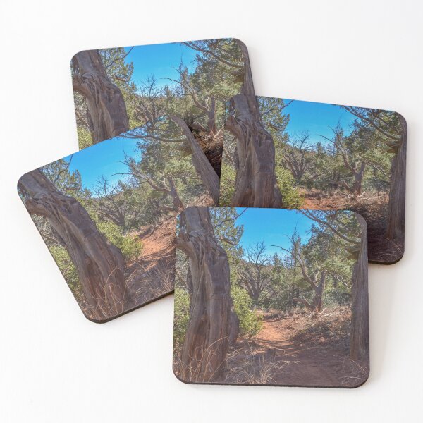 Item preview, Girdner Trail Arizona USA Cultural Park Trailhead fourteen designed and sold by tamal778.