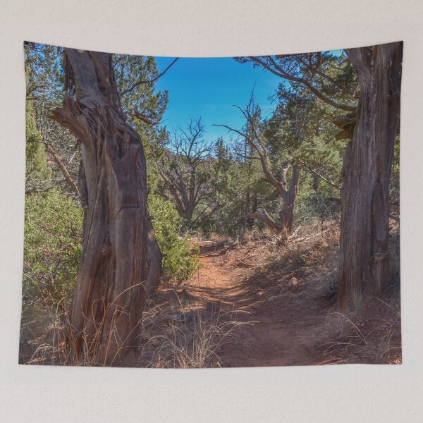 Item preview, Girdner Trail Arizona USA Cultural Park Trailhead fourteen designed and sold by tamal778.