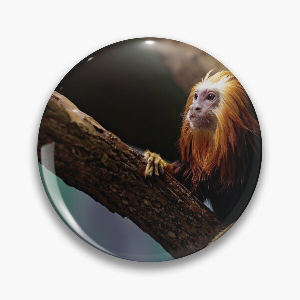 Item preview, Curious Monkey designed and sold by billduncan.