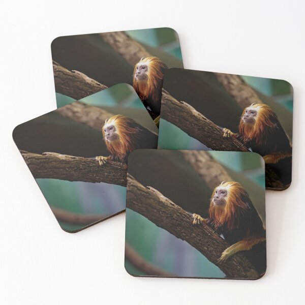 Item preview, Curious Monkey designed and sold by billduncan.
